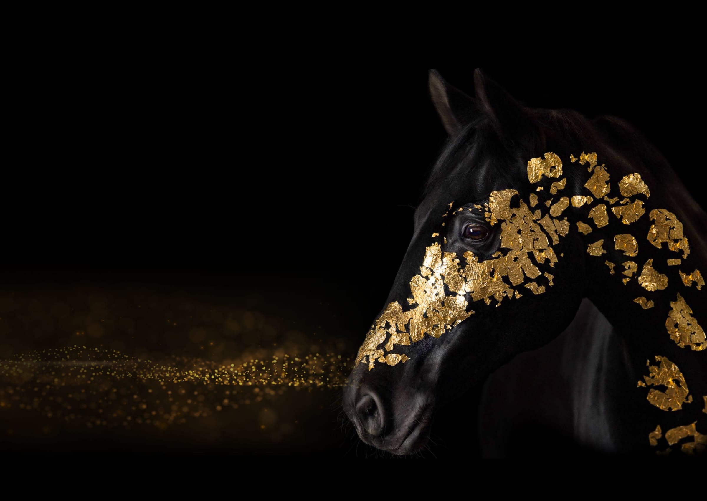 A black horse wearing flakes of gold leaf, the namesake of Shawel Beer